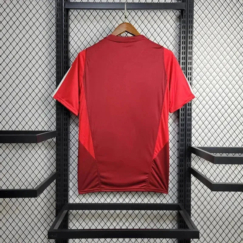 Sport Club Internacional Training Shirt 24/25 - Men's Fan Red