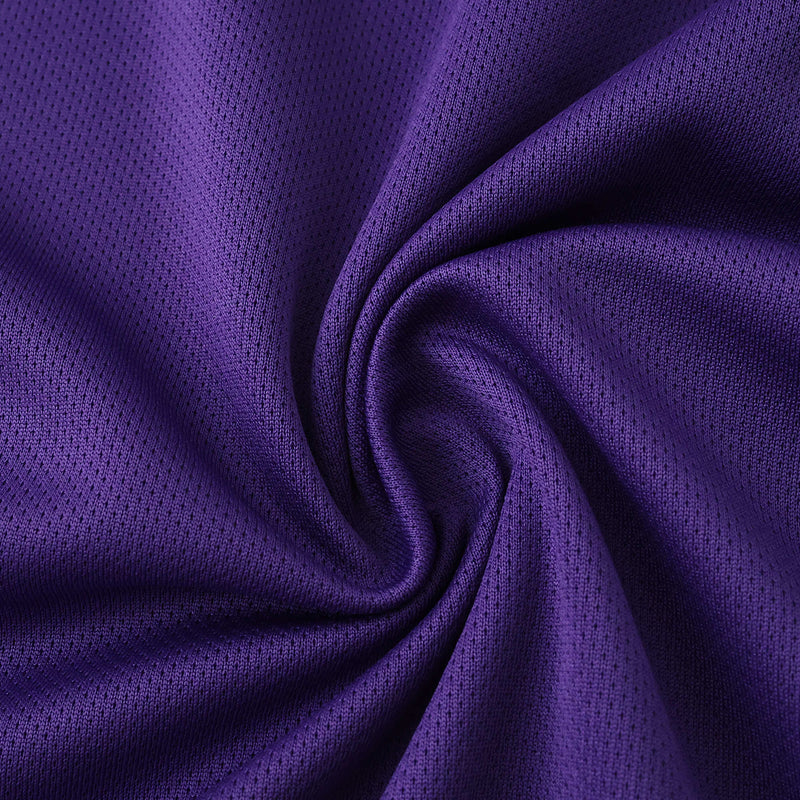 Fiorentina Home Shirt 25/26 - Men's Fan Purple and White
